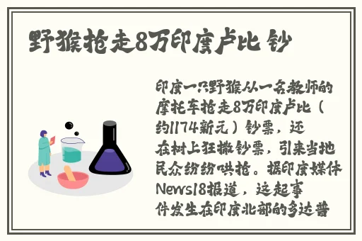 白嫩白嫩BBBBBB